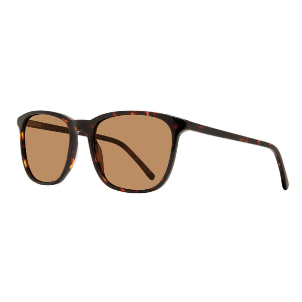 MP6007 - Image 2